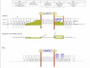 2012-11-27 100169 Amazonica OW 05-hek