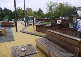 100170-Blijdorp-wasberen(4)