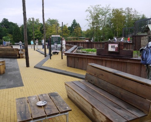 100170-Blijdorp-wasberen(4)