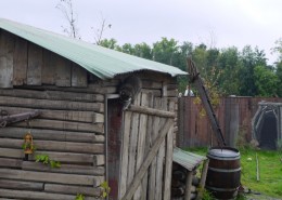 B-16-2011-Blijdorp-Wasberen-100170-800 02