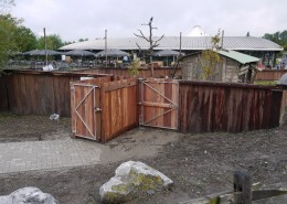 B-16-2011-Blijdorp-Wasberen-100170-800 05