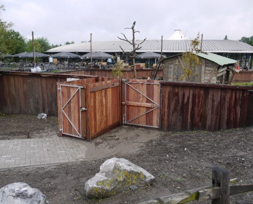 B-16-2011-Blijdorp-Wasberen-100170-800 05