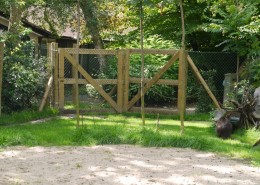 C-14-2011-Blijdorp-Moeraswallabies-100163-800-009