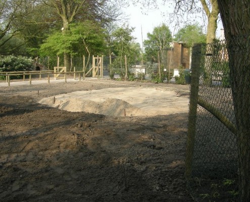 C-14-2011-wallabies-(1)