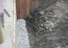 C-14-2011-wallabies-(2)