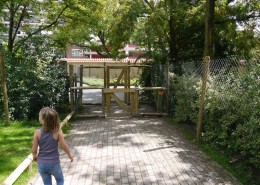 C-14-2011-wallabies-(3)