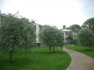 E-06-2007-Moerwijk-800-0