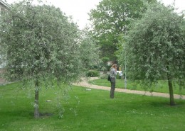 E-06-2007-Moerwijk-800-001