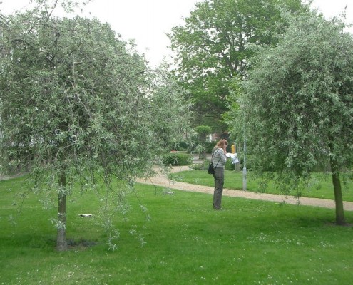 E-06-2007-Moerwijk-800-001