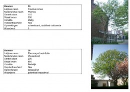 E-06-2007-Moerwijk-800-006