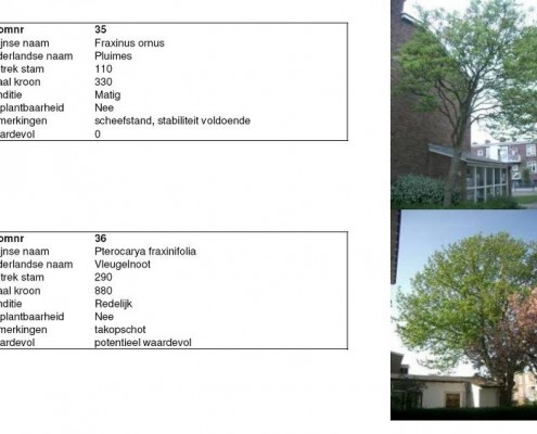 E-06-2007-Moerwijk-800-006