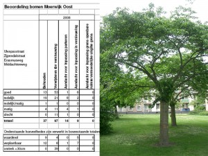 E-06-2007-Moerwijk-foto1