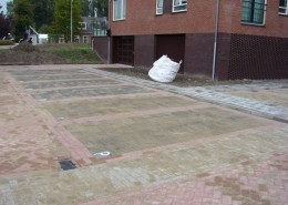 F-02-2011-H-woude-R-dijk-Zonneveldhof-800-0