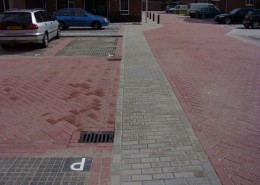 F-02-2011-H-woude-R-dijk-Zonneveldhof-800-002