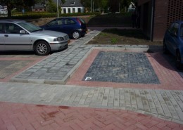 F-02-2011-H-woude-R-dijk-Zonneveldhof-800-004