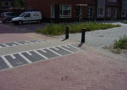 F-02-2011-H-woude-R-dijk-Zonneveldhof-800-005