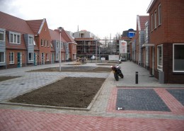 F-02-2011-H-woude-R-dijk-Zonneveldhof-800-007