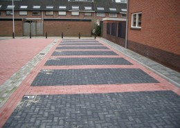 F-02-2011-H-woude-R-dijk-Zonneveldhof-800-009