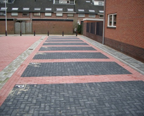 F-02-2011-H-woude-R-dijk-Zonneveldhof-800-009