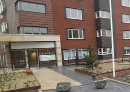 2-20-2017-Daktuin- (2)