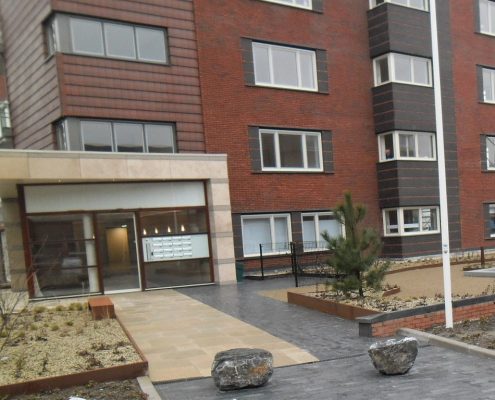 2-20-2017-Daktuin- (2)