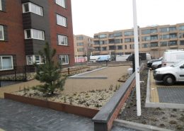 2-20-2017-Daktuin- (3)