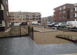 2-20-2017-Daktuin- (4)