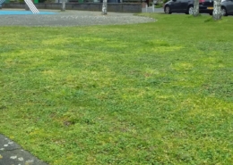 nb10-B-Den Haag - toezicht - (1)