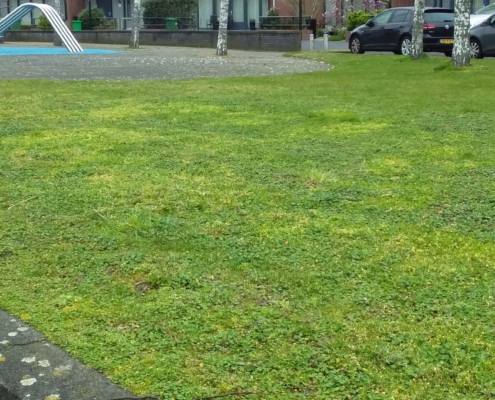 nb10-B-Den Haag - toezicht - (1)