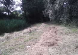 nb10-B-Den Haag - toezicht - (2)