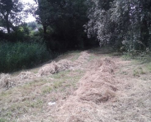 nb10-B-Den Haag - toezicht - (2)