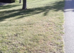 nb10-B-Den Haag - toezicht - (3)