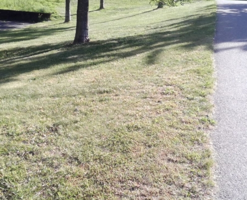 nb10-B-Den Haag - toezicht - (3)