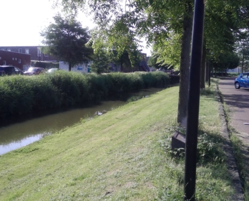 nb10-B-Den Haag - toezicht - (4)